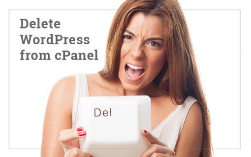 how-to-delete-wordpress-from-cpanel